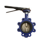 Two Shaft Butterfly Valve Flange Type Ptfe U Type For Regulating Water Pressure